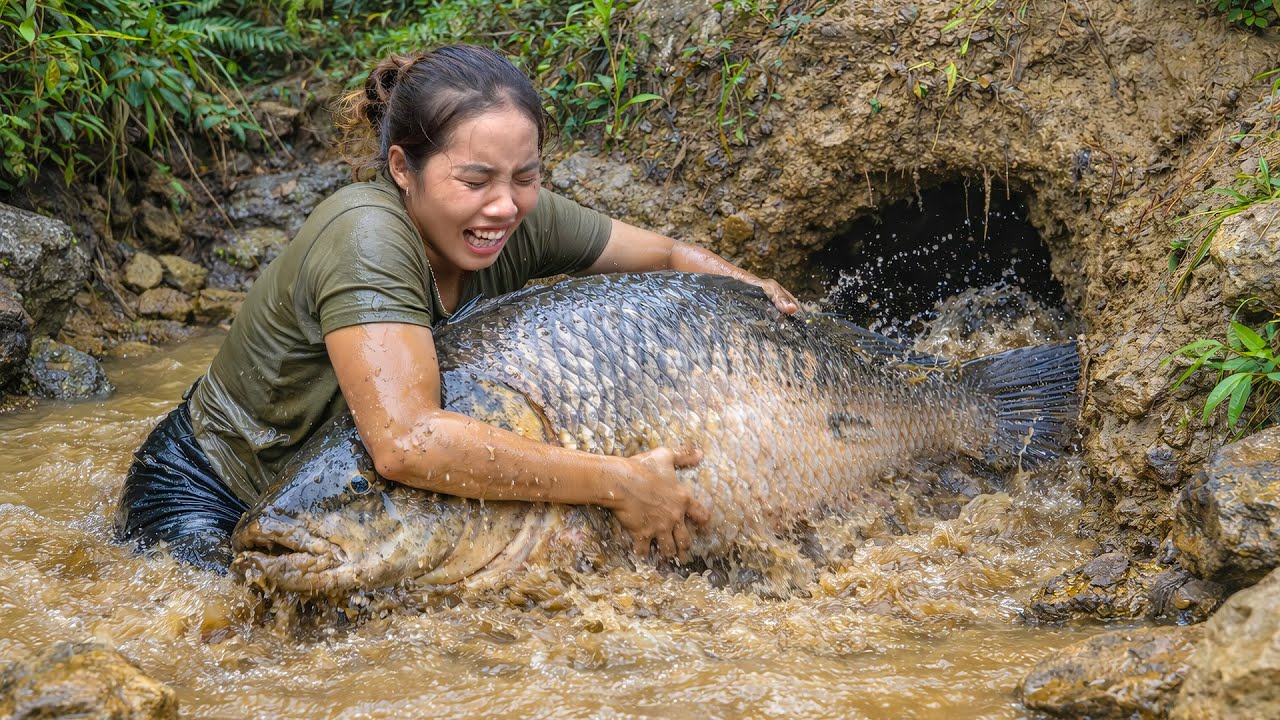 Harvest Huge school of Fish with Children - Catch Fish by Hand on Rainy days to Sell at Market