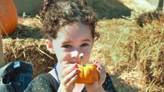 Make a Scarecrow 2016 Slideshow. Thanks for the memories!