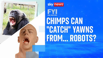 Wat hebben dieren en mensen met elkaar gemeen?