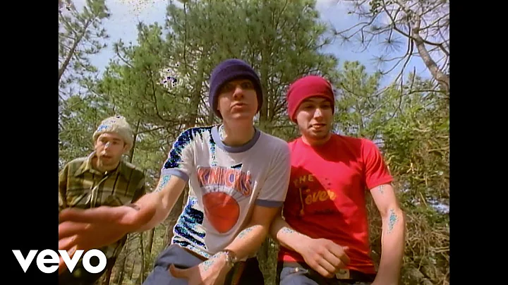 Beastie Boys - So What Cha Want
