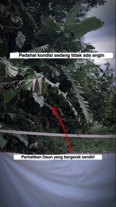 DAUN PISANG BERGERAK SENDIRI PADA WAKTU MAGRIBH❗️#shorts #horor #kejadiananeh #mistis #ruangmalam