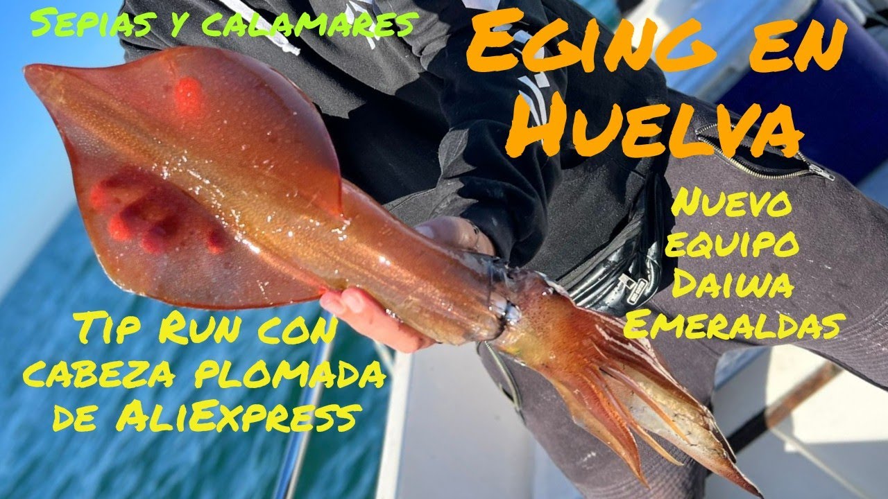 Tip Run Eging. Como pescar calamares desde embarcación a estilo