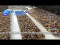 Black Nut Bar Machine Premium Nut Bar Production Line#nutsbarmachine#nutsbarproductionline#nutbar