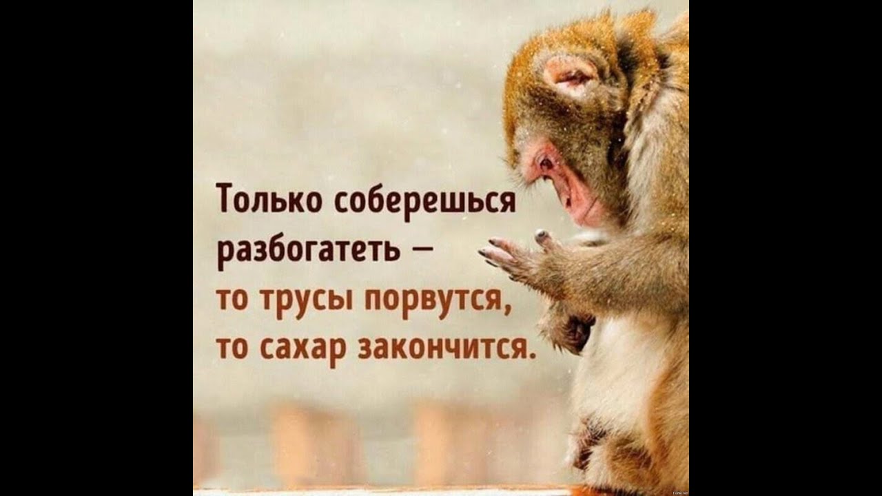 Только соберешься разбогатеть то трусы порвутся то сахар закончится картинки