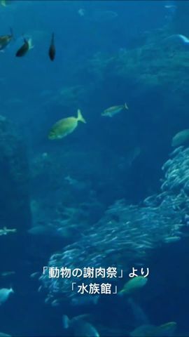 「動物の謝肉祭」より「水族館」
