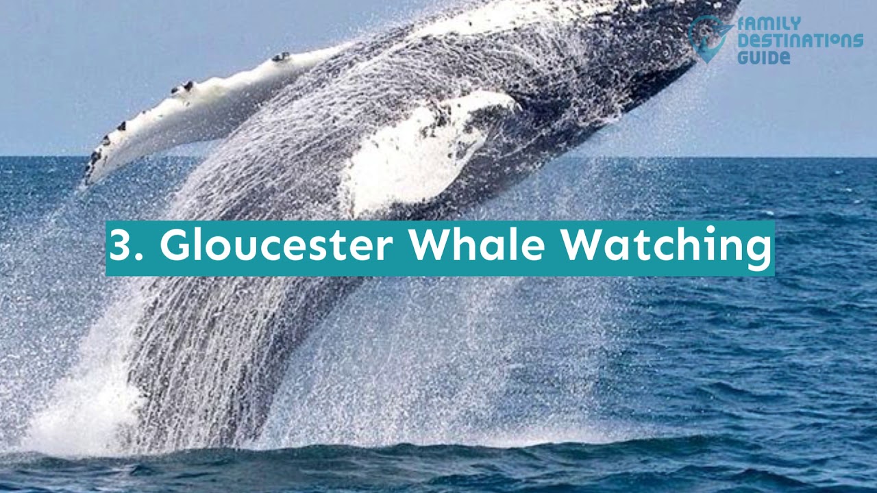 9 Fun Things To Do Near Boston MA YouTube 9-fun-things-to-do-near-boston-ma-youtube