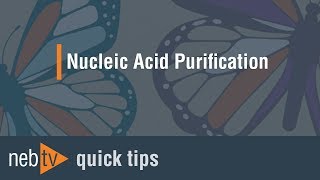 Quick Tips - How do I apply my elution buffer to the Monarch® nucleic acid purification column