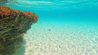 Caribbean Blue: Snorkeling The Waters of Anguilla (4K)