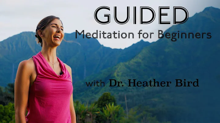 Guided Meditation for Beginners - with Dr. Heather...