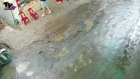 Cùng điểm lại các TIN NỔI BẬT NHẤT trong tuần qua 29/05