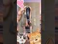 Hair care rutin cewe mahal #shortvideo #viralvideo