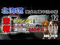【悲報】雨のパンクで鹿部から苫小牧へ250キロ戻りタイヤ交換する羽目に… 北海道 犬連れ キャンピングカーの旅 2019 EP12【車中泊】【キャンピングカー】【くるま旅】