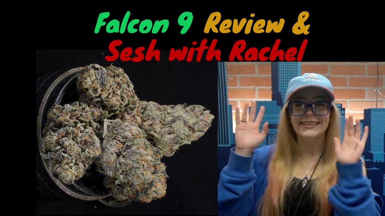 Falcon 9 Cannabis Strain Review and Sesh with KingMidas420x