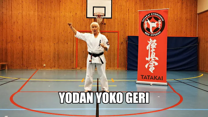 Yodan Yoko Geri