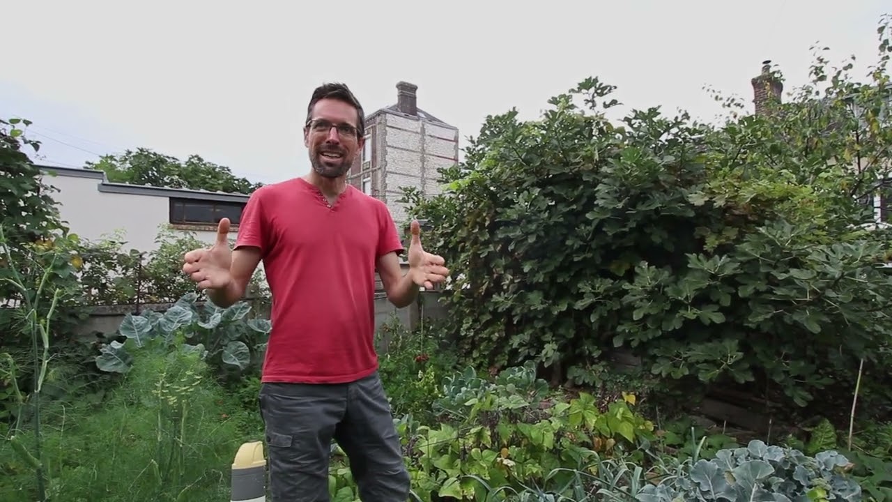 Mon petit jardin en permaculture 2024 : 12 ans de recul !
