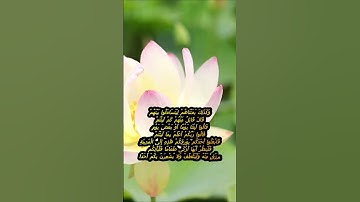 سورة الكهف اية 19 - بصوت جميل - وَكَذَلِكَ بَعَثْنَاهُمْ لِيَتَسَاءَلُوا بَيْنَهُمْ