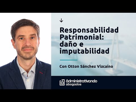 Responsabilidad Patrimonial: Daño e Imputabilidad