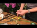 Triangle Nursery - Creating a buttonhole with a Calla Lily