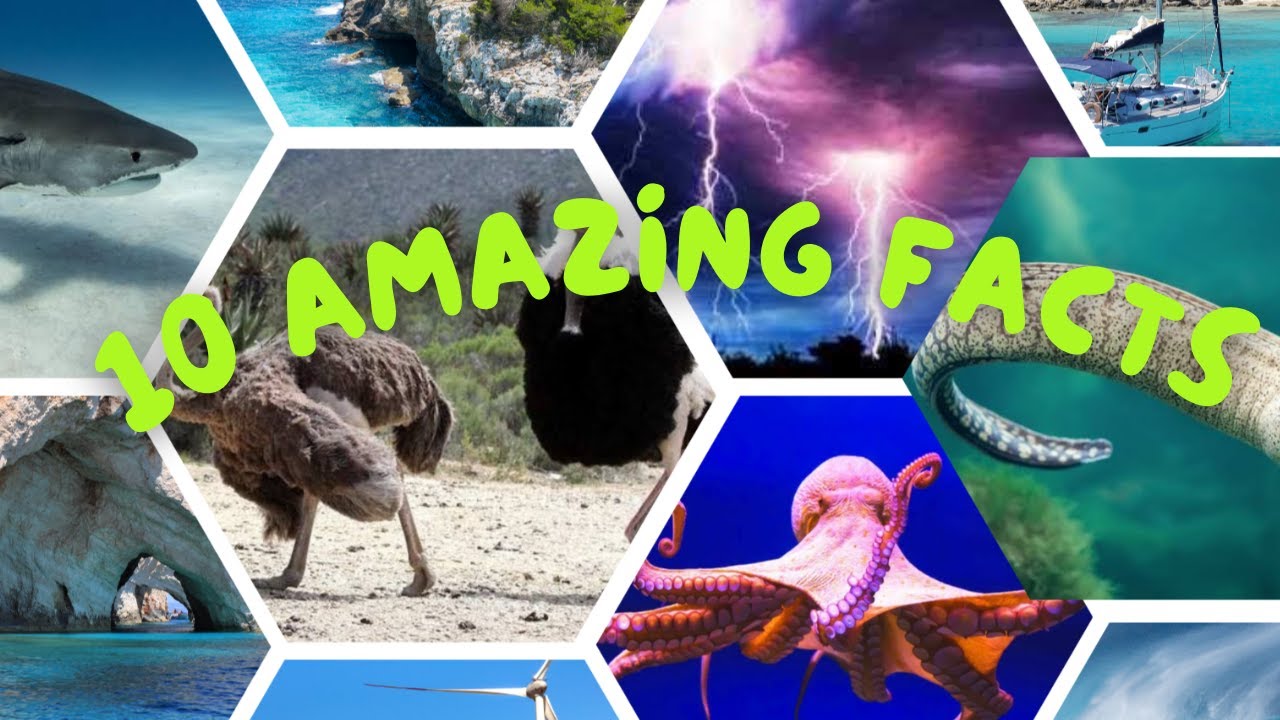 10 MindBlowing Facts You Won't Believe Jit Amazing Facts YouTube