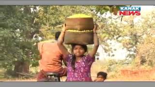 Kalahandi tribal people are facing many problems to sell mahula for
latest odisha news follow us: visit: http://kanaknews.com/ :
https://www..c...