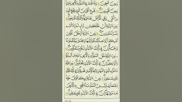 الآية 19 من سورة الروم