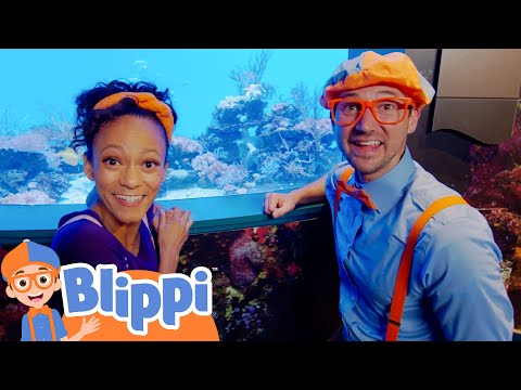 Blippi Visits The Aquarium of The Pacific | Fun and Educational Videos for Kids