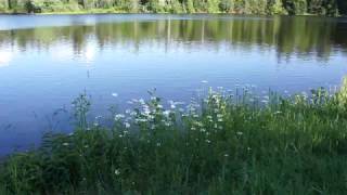 Bird Sanctuary Walk 1