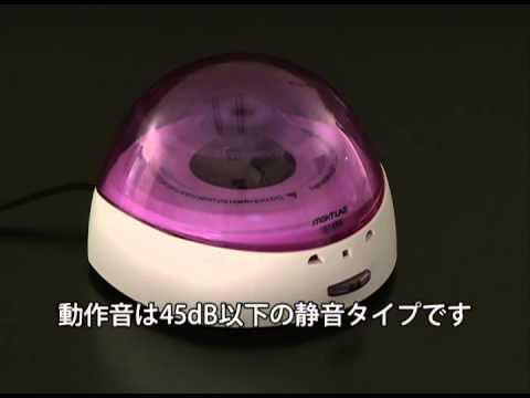 動画