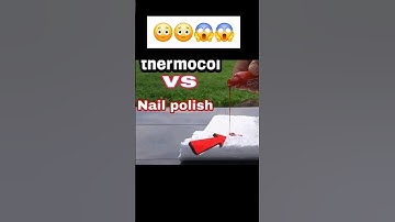 Never Put Nail Polish On Thermocol💀💀 #shorts #youtubeshorts #scienceexperiment