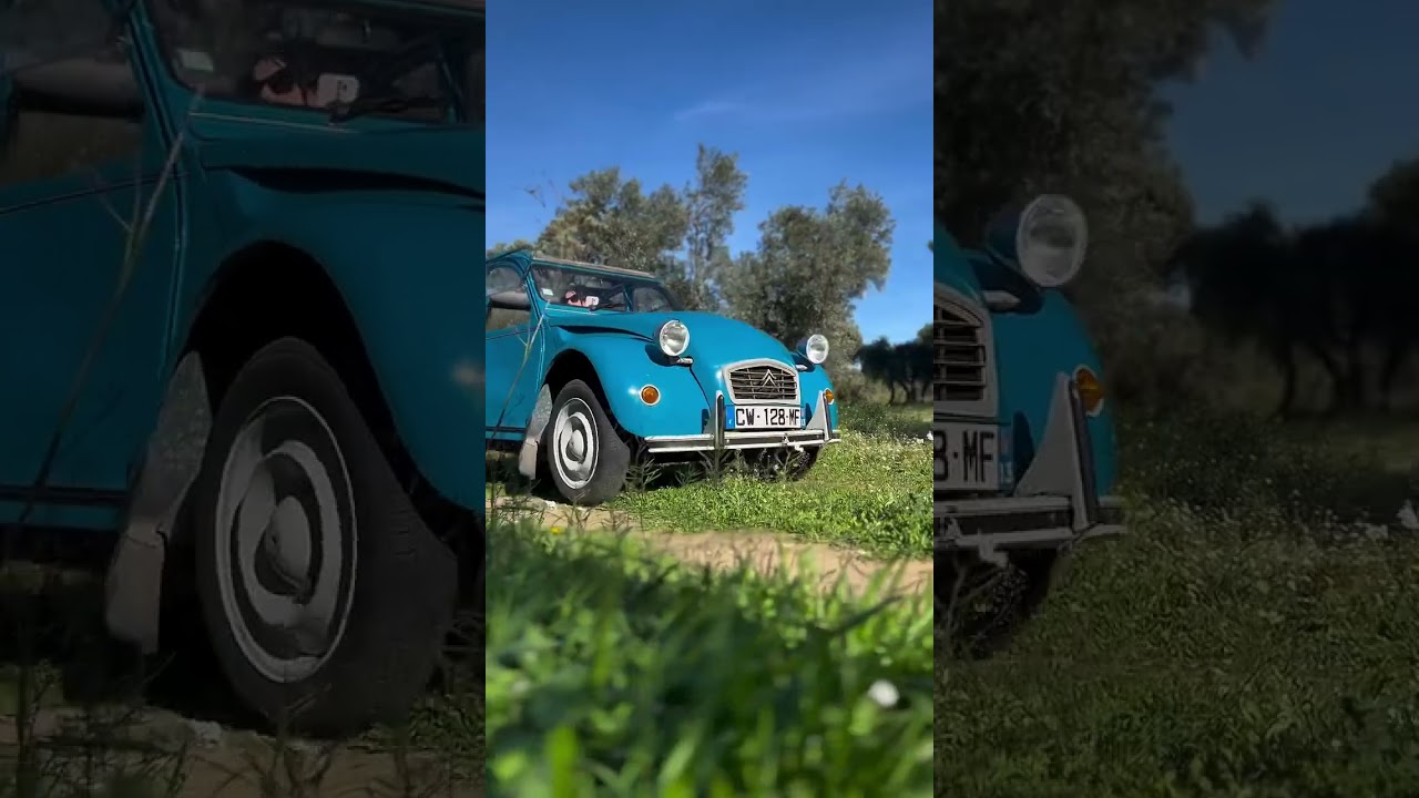 🚗 Escapade provençale en 2CV : l'aventure qui réveille vos sens ! 🌿