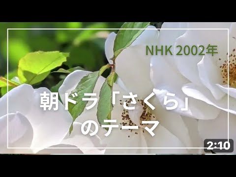 NHK連続テレビ小説「さくら」のテーマ