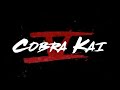 Cobra Kai Season 5 RELEASE DATE ANNOUNCED!!