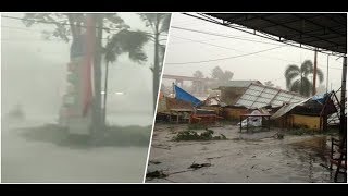 Download lagu Detik-detik Hujan Badai dan Petir Tumbangkan Pohon Besar di Pekanbaru