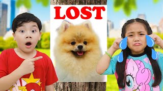 annie and sammy look for grandmas lost dog kids help the elderly