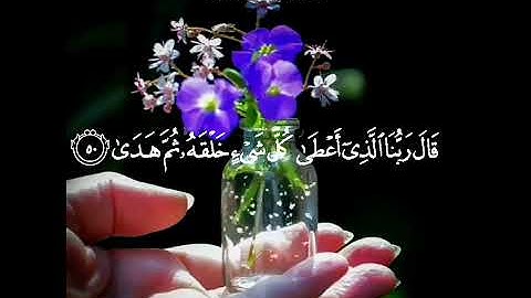 أرح سمعك  قرآن كريم بصوت ياسر الدوسري حالات واتس اب