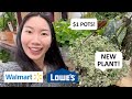 NEW (Mystery) Hanging Plant Finds & Lots of $1 Pots in Clearance! Lowe’s & Walmart Shopping and Haul