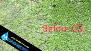 CO2 pH Control System.wmv
