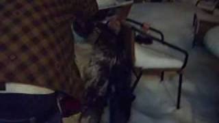 vid_50afd2ce25f1460bb56eb11015c6c752.flv