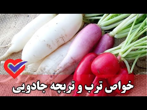 خواص باورنکردنی ترب و تربچه