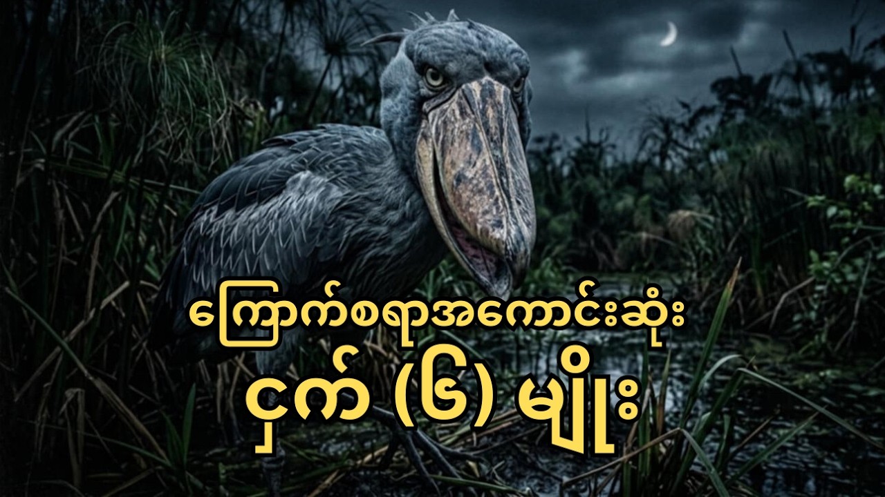 အကြောက်စရာအကောင်းဆုံး ငှက် (၆) မျိုးအသံများ 6 Most Unusual and Terrifying Birds in the World