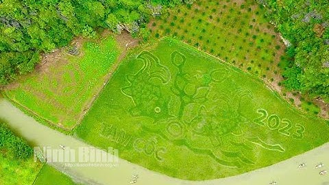 Tuần Du lịch Ninh Bình 2023 "Sắc vàng Tam Cốc-Tràng An" sẽ bắt đầu từ 27/5