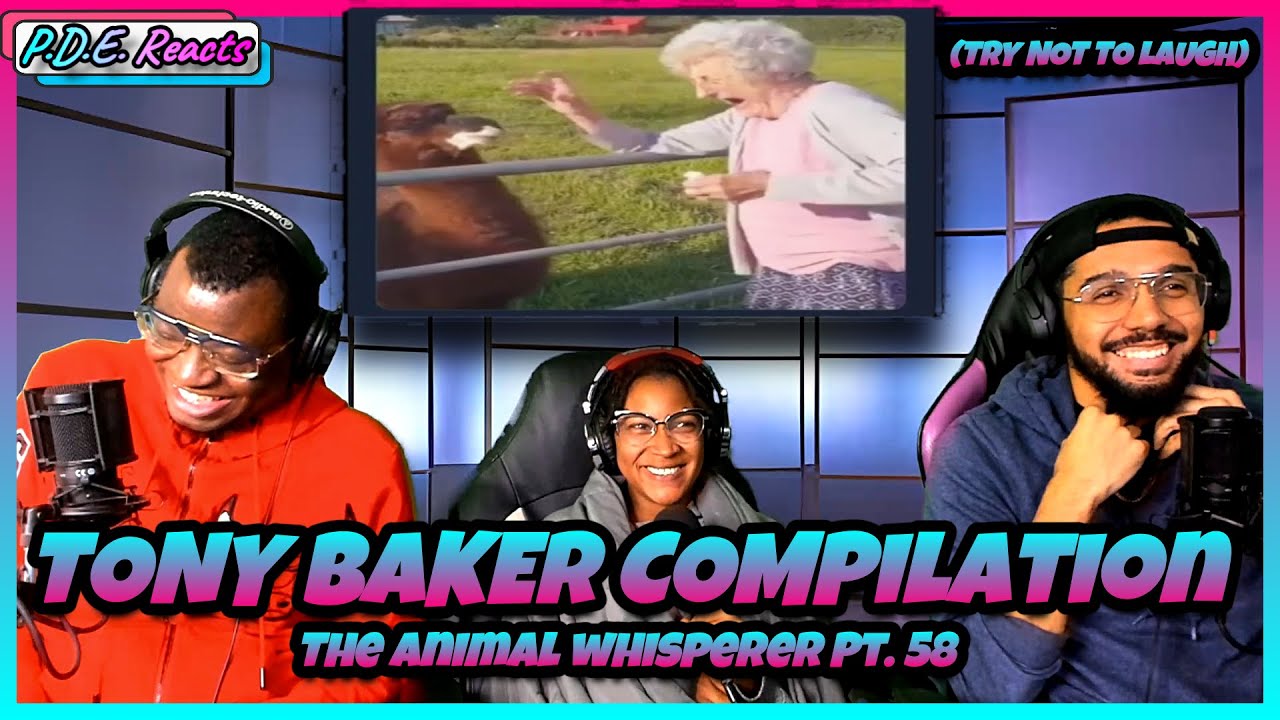 PDE Reacts | Tony Baker - The Animal Whisperer Pt. 58 (Try Not to Laugh)