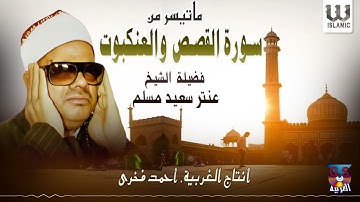 الشيخ عنتر مسلم -  سورة القصص  و العنكبوت / AlShaikh Antar Musalam  -AlQasas