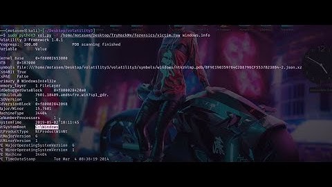 Analyzing Memory Dumps with Volatility Framework | TryHackMe Forensics