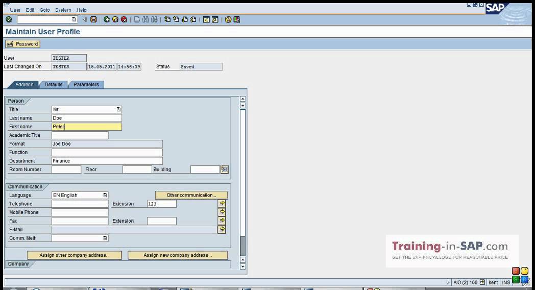 SAP Training - How to change your user profile in SAP.avi 
