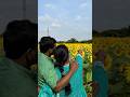 Sunflower garden🌻#shortsindia #viralshort #trending #ytstudioes #sunflower #sunflowergarden