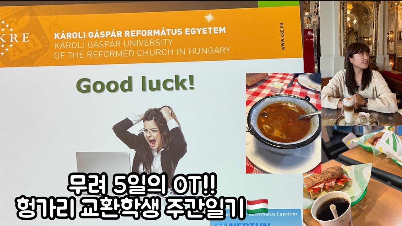 오티가 왜 오티게? (헝가리 교환학생🇭🇺)