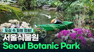 [4K] Сад исцеления в центре города! Курс посещения Сеульского ботанического сада