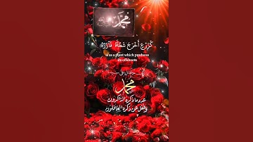 تلاوة خاشعة عطرة مباركة جميلة عذبة مميزة طيبة للشيخ ماهر المعيقلي ماتيسر من سورة الأحزاب
