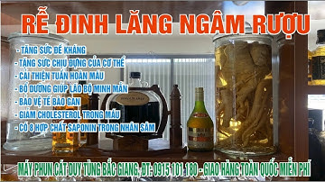 Rễ cây Đinh Lăng ngâm rượu, ngày 16 tháng 7, 2022